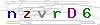 weryfikator